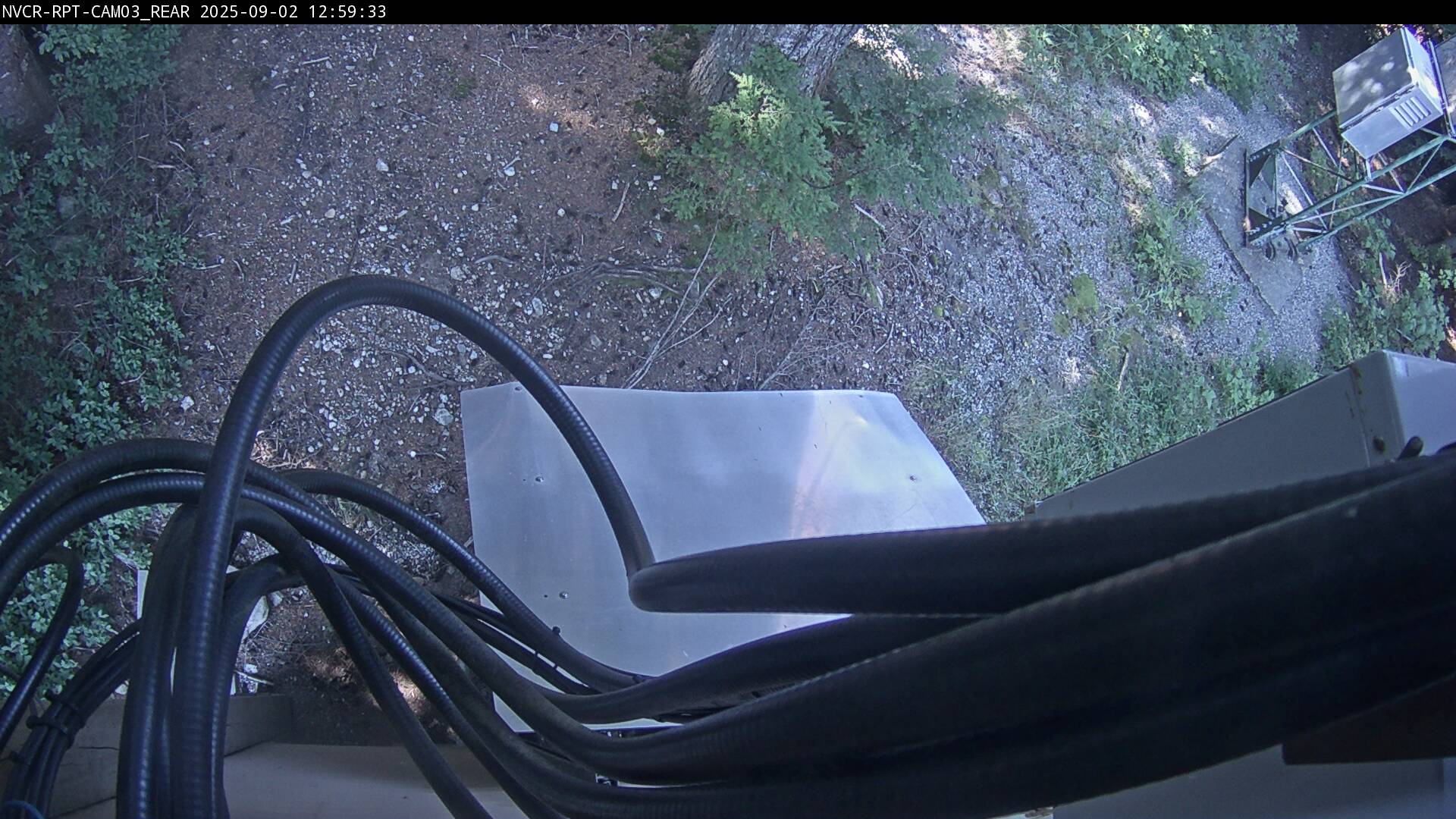 Web Cam History Image - 308