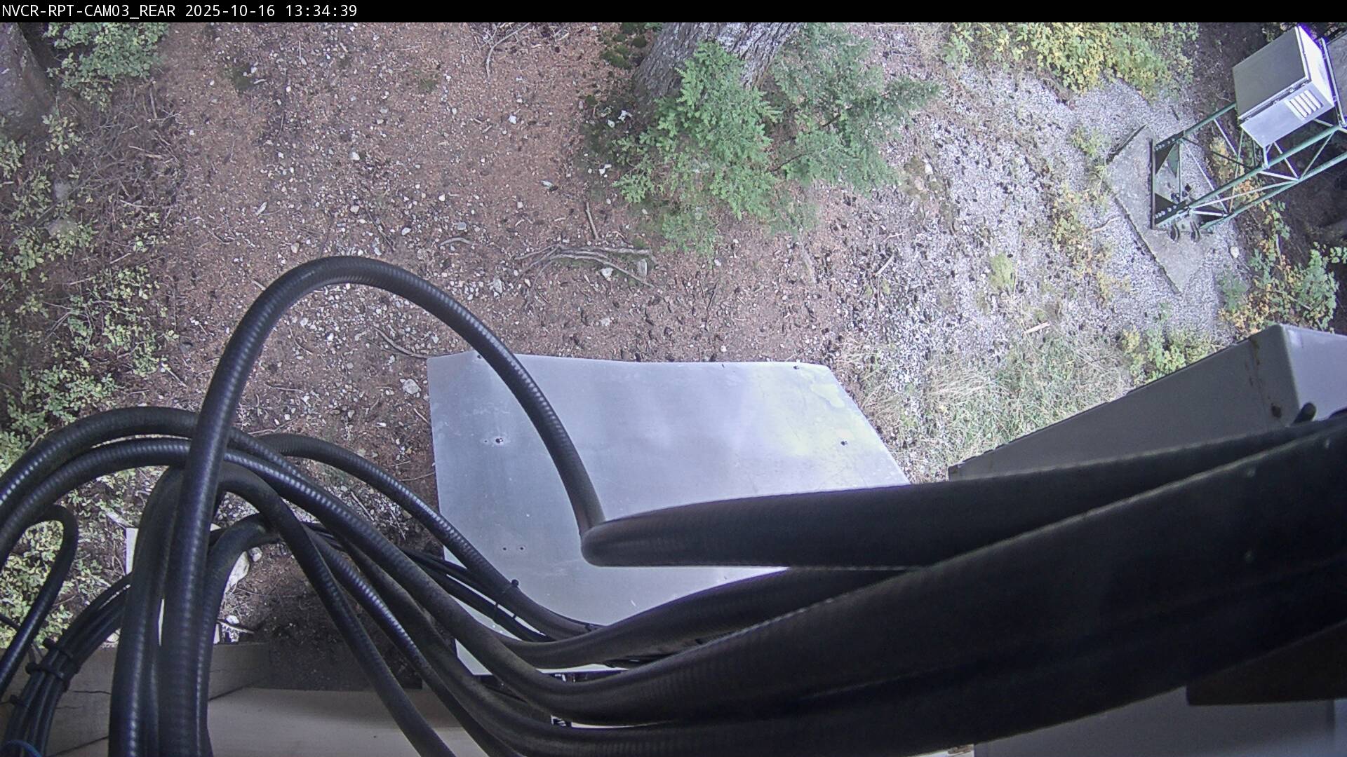Web Cam History Image - 308