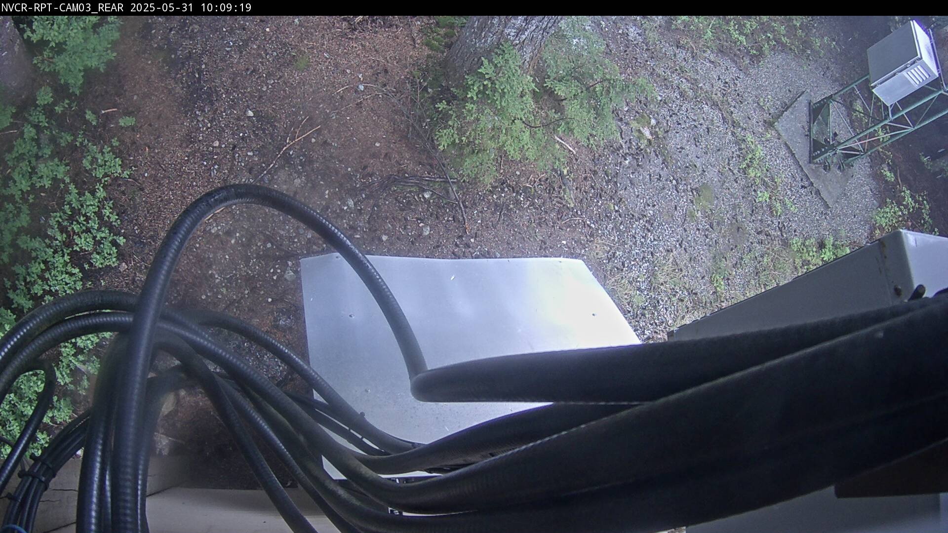 Web Cam History Image - 309