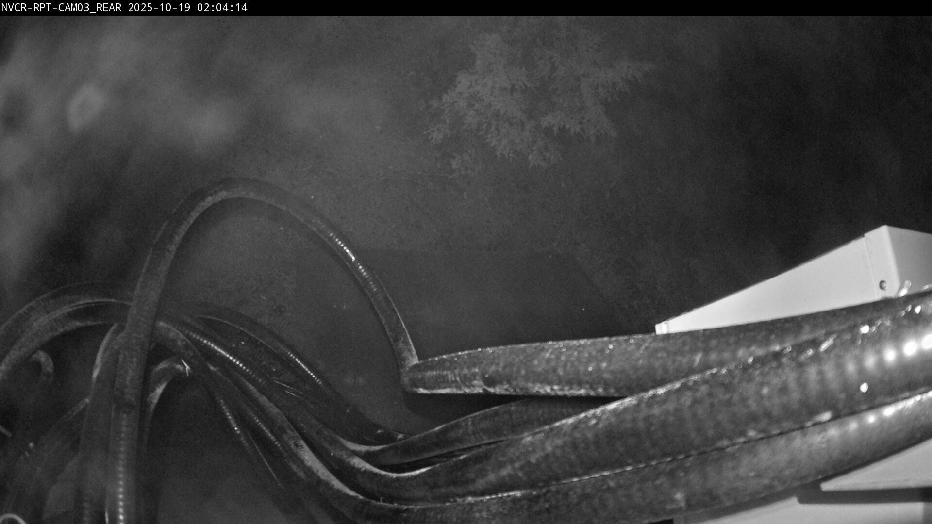 Web Cam History Image - 309
