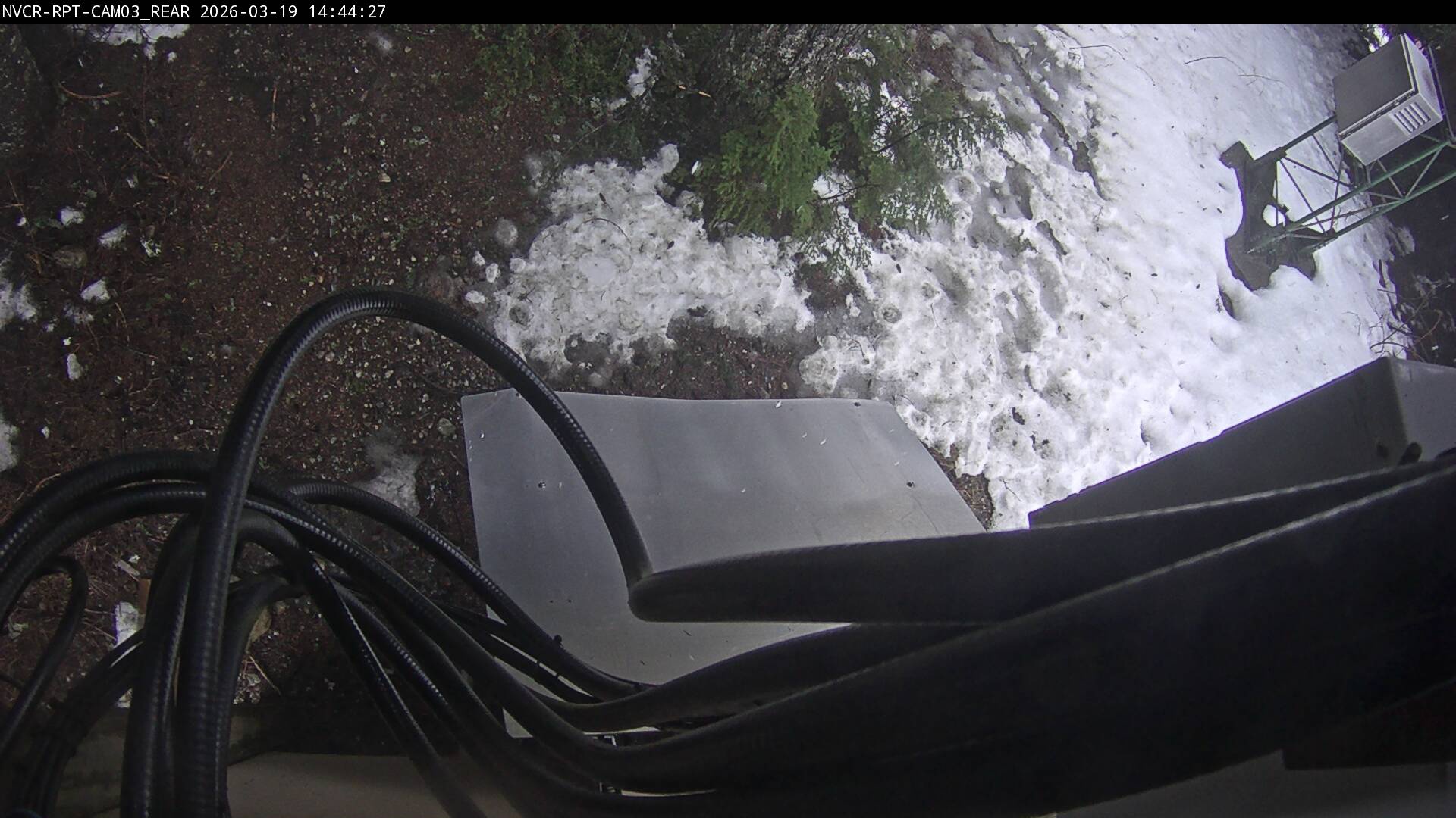 Web Cam History Image - 309