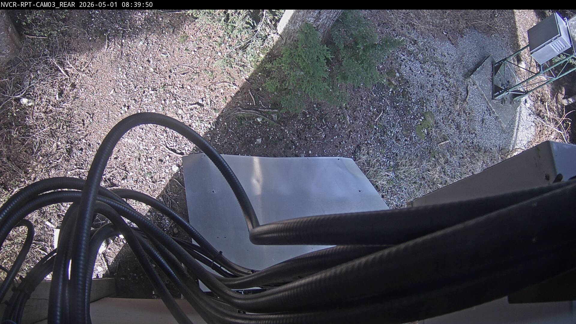 Web Cam History Image - 309