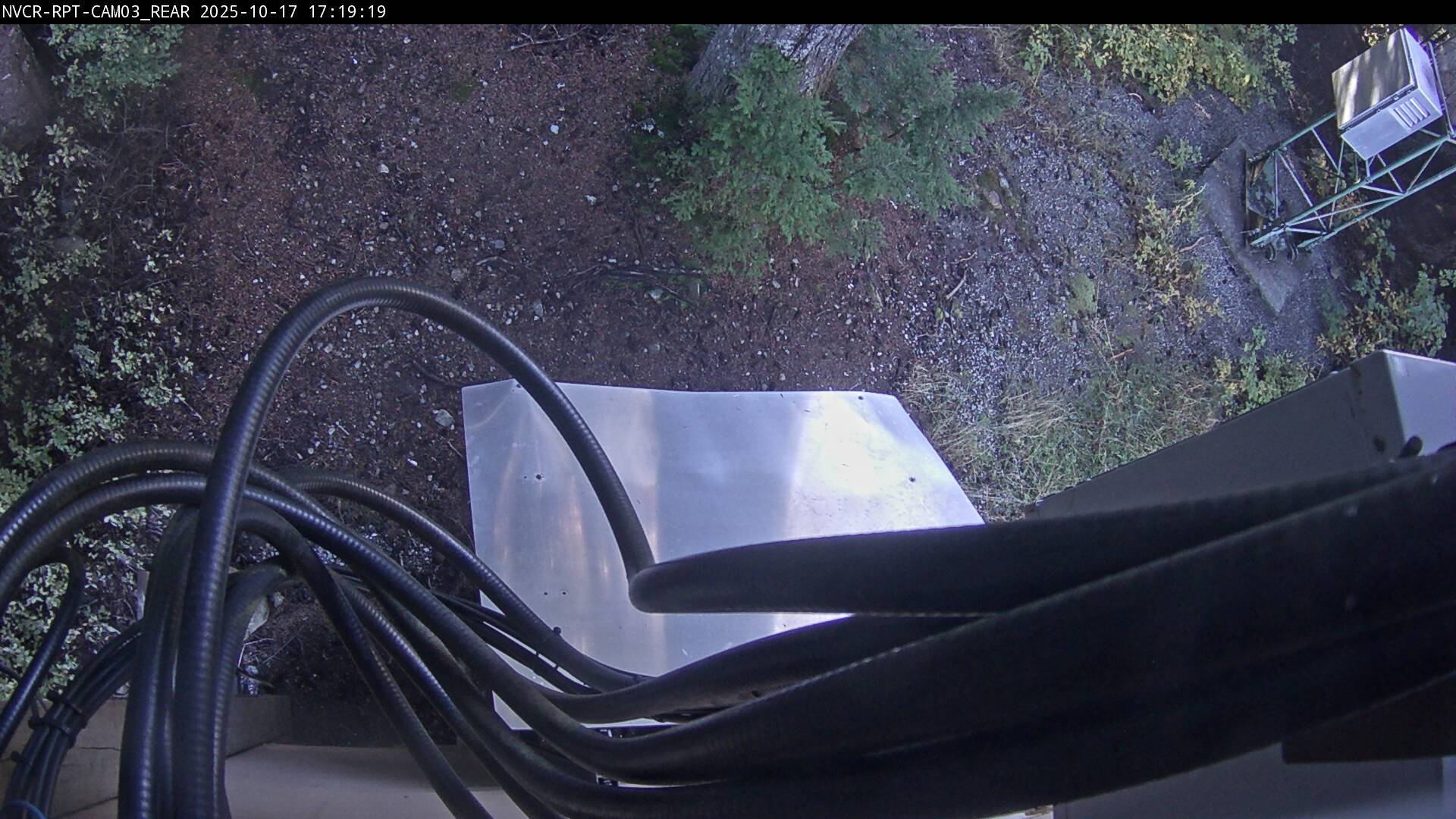 Web Cam History Image - 310