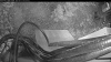 Web Cam Image - Wed, 05/13/2026 4:34am PDT