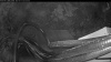 Web Cam Image - Thu, 05/14/2026 7:44pm PDT