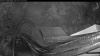 Web Cam Image - Fri, 05/29/2026 5:09am PDT