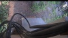 Web Cam Image - Tue, 07/14/2026 4:54am PDT