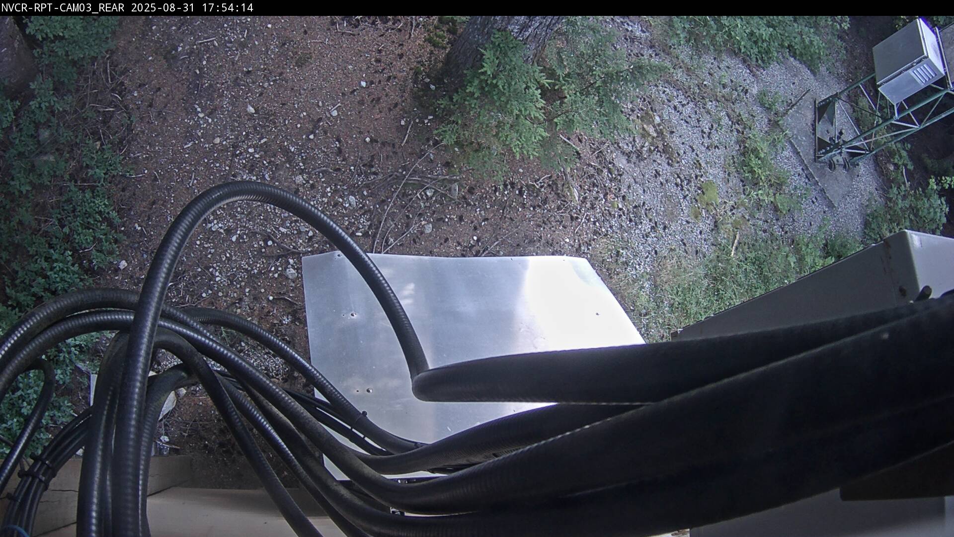 Web Cam History Image - 32