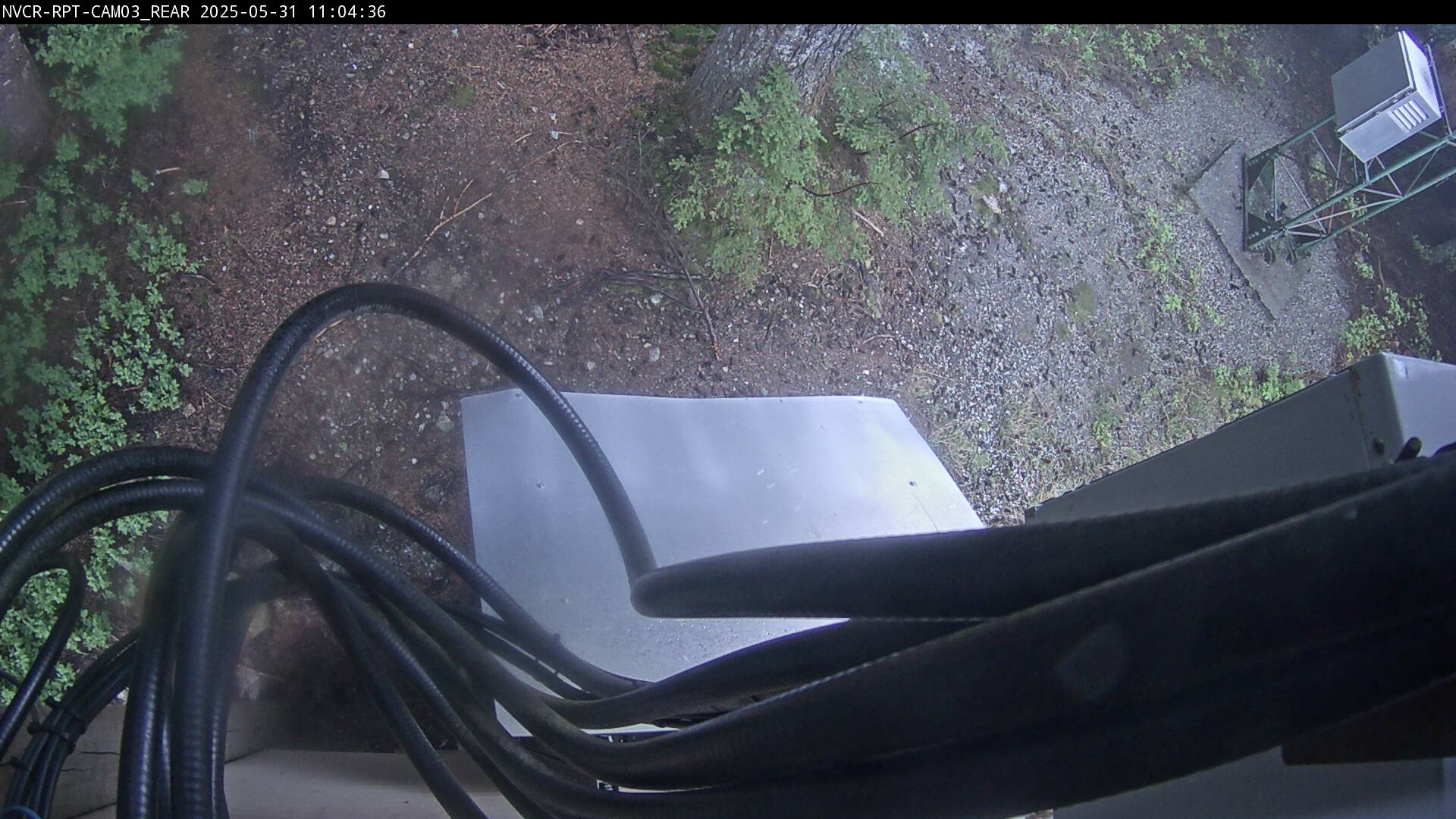 Web Cam History Image - 311