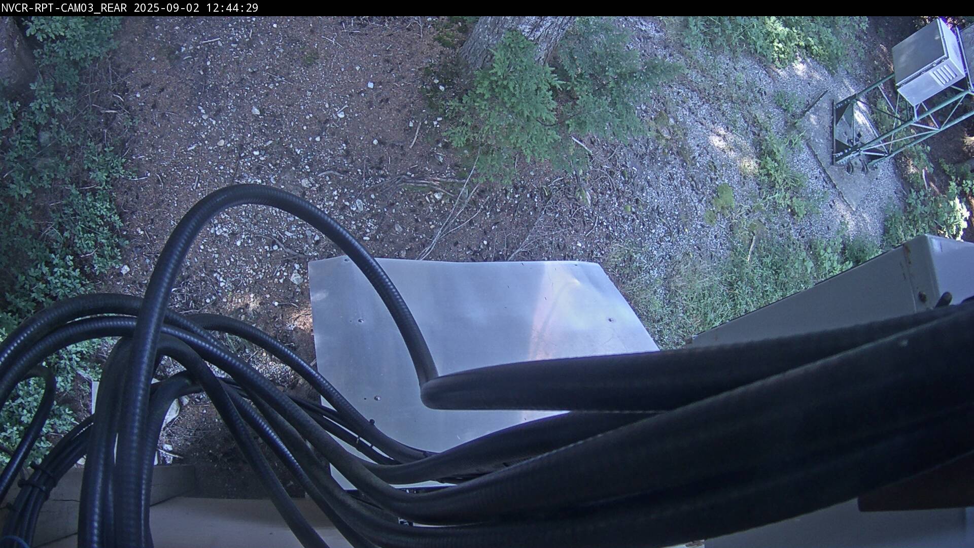 Web Cam History Image - 311