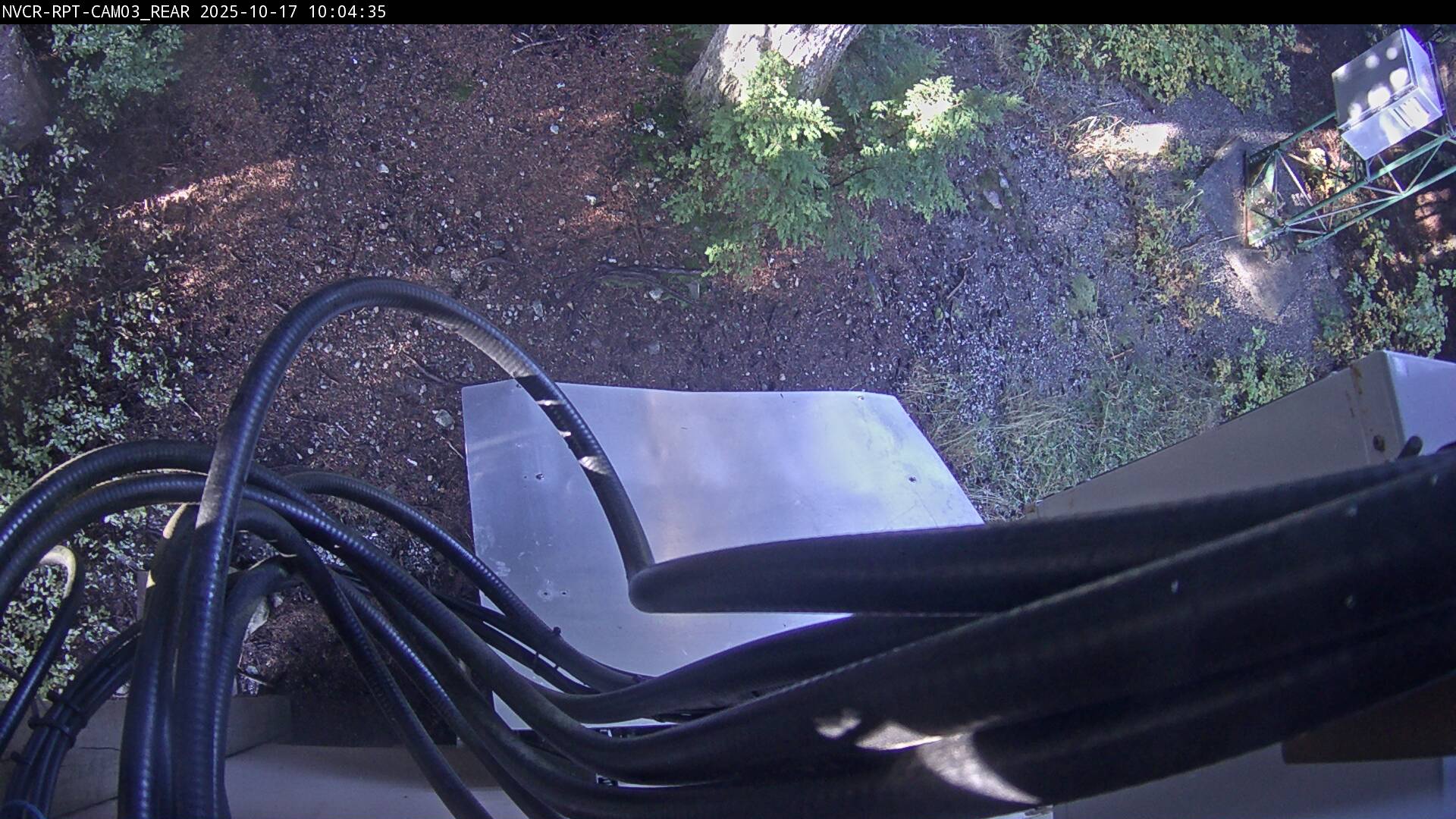 Web Cam History Image - 311