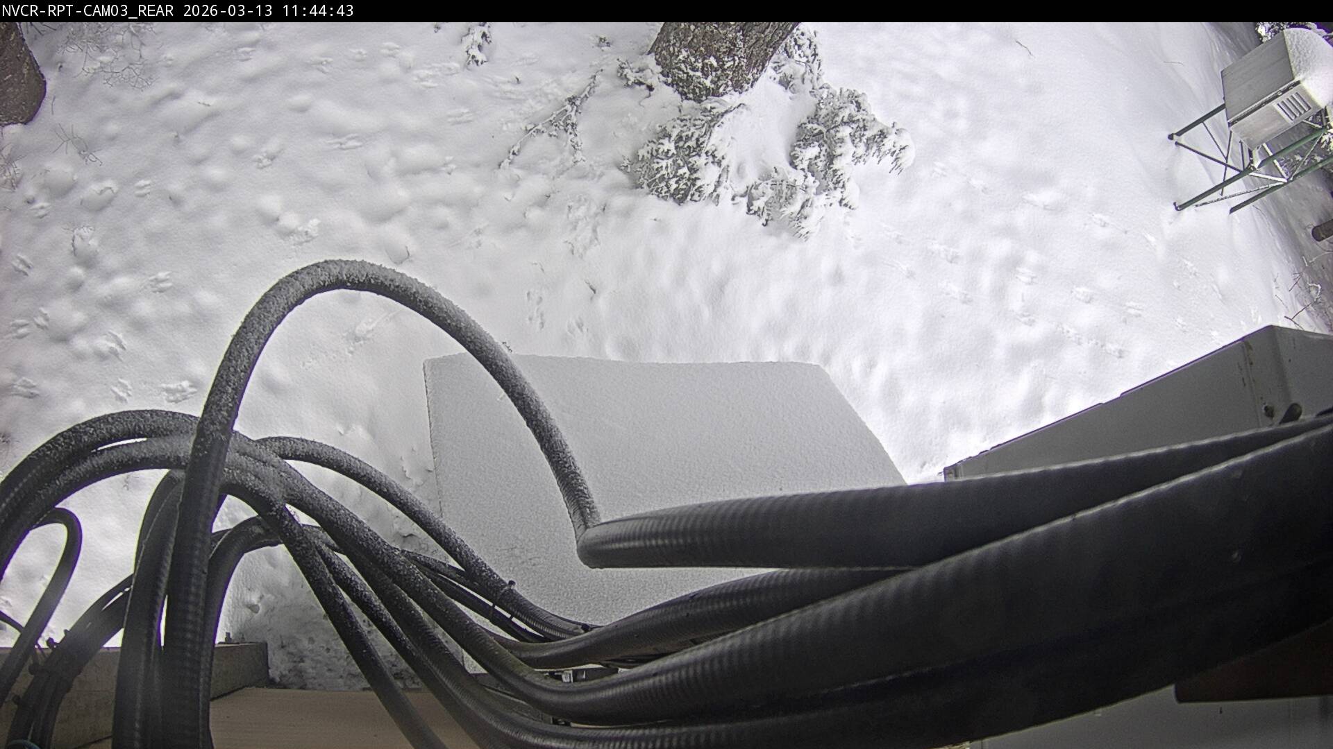 Web Cam History Image - 311