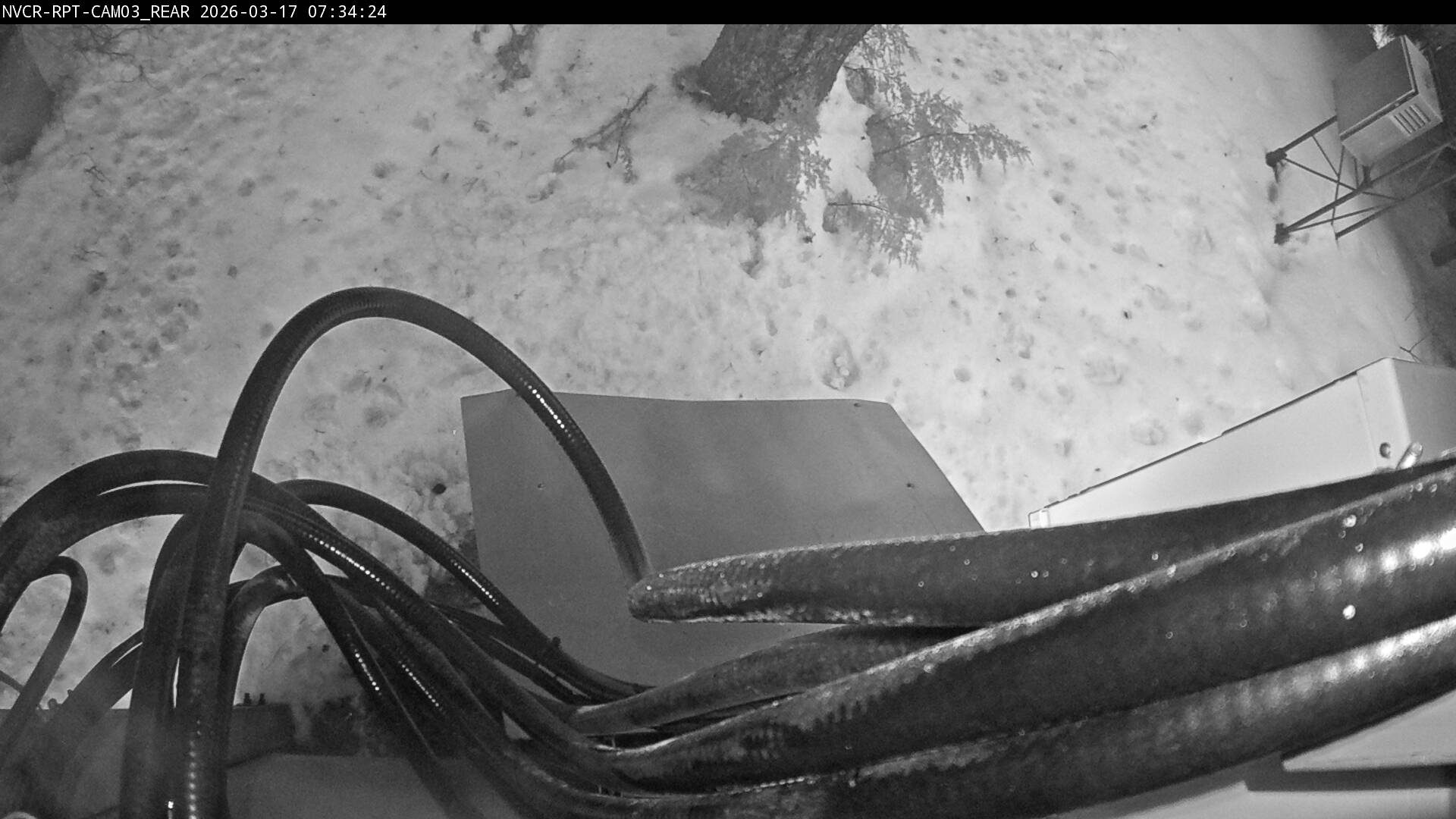 Web Cam History Image - 311