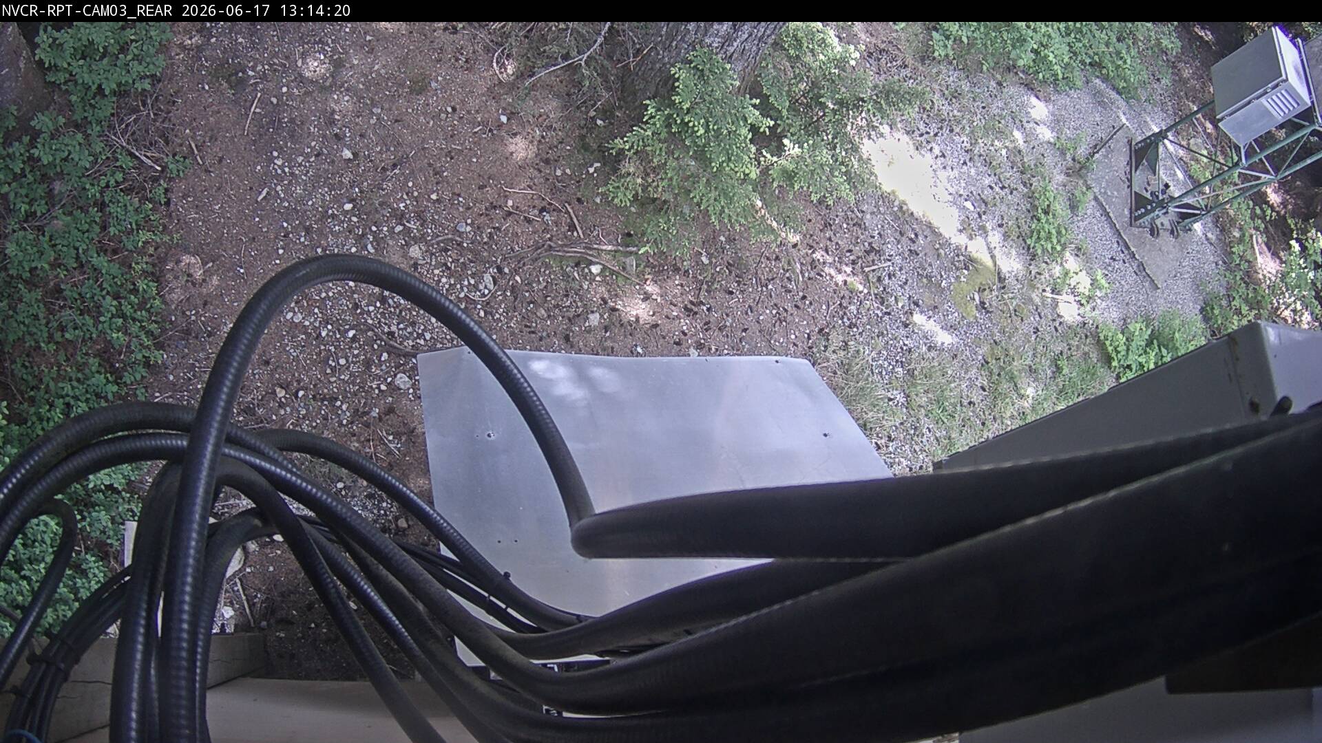 Web Cam History Image - 311