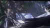Web Cam Image - Thu, 05/28/2026 1:49pm PDT