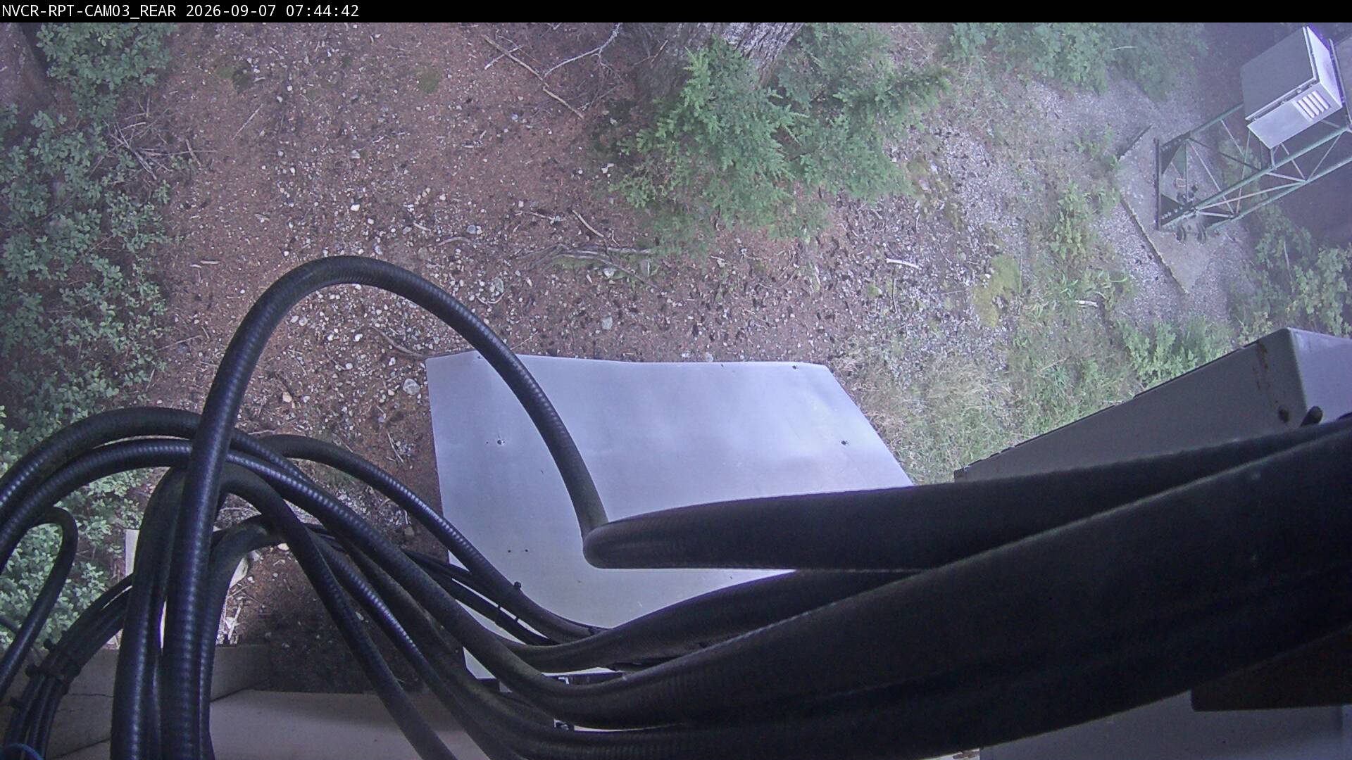 Web Cam History Image - 312