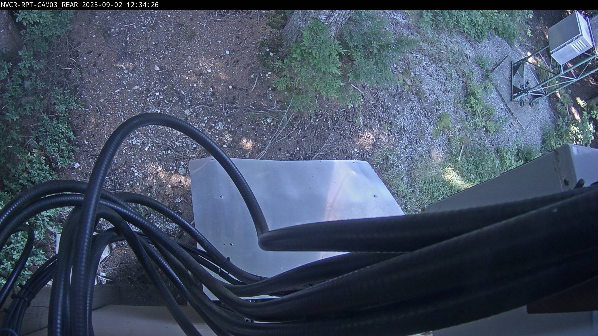 Web Cam History Image - 313