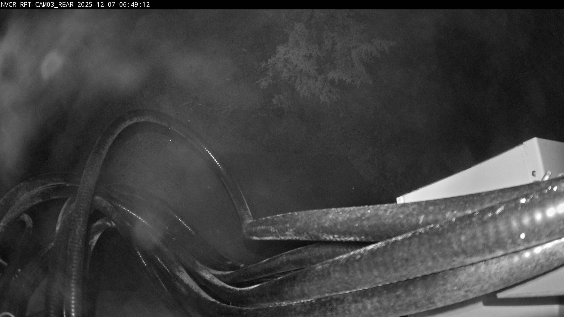 Web Cam History Image - 313