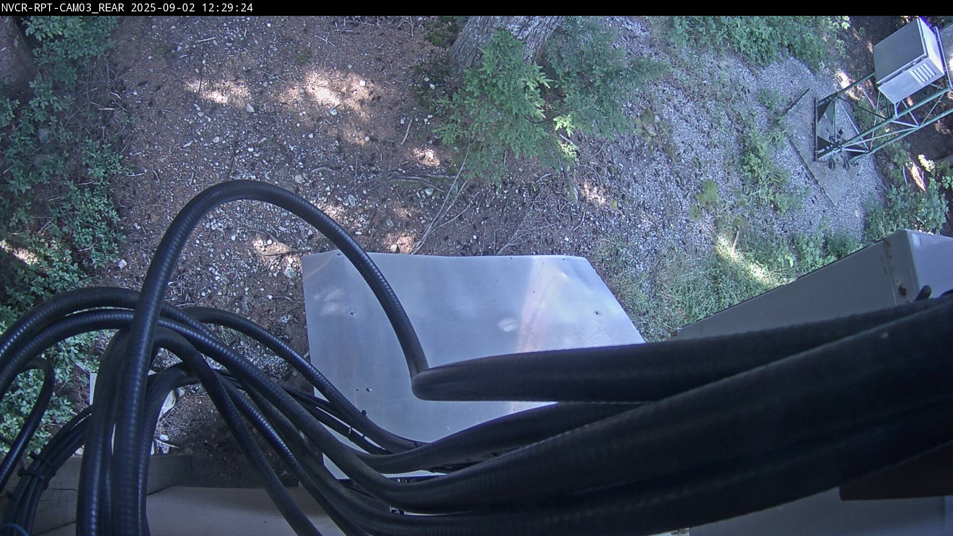 Web Cam History Image - 314