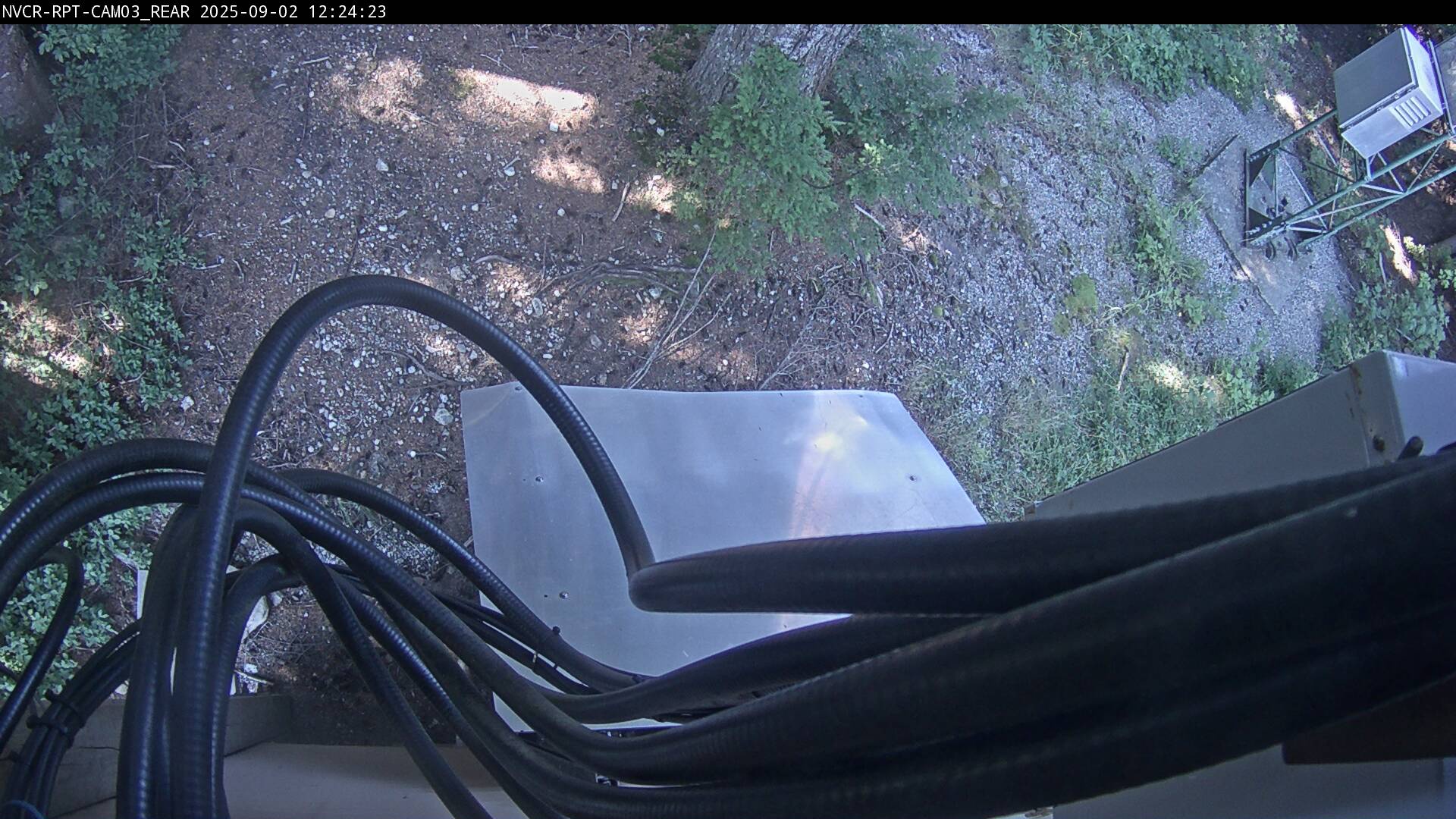 Web Cam History Image - 315