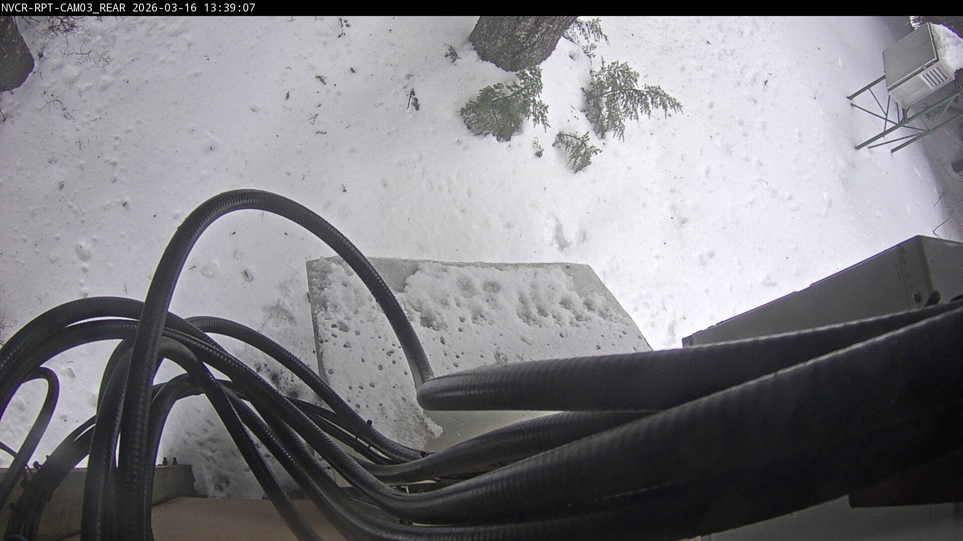 Web Cam History Image - 315