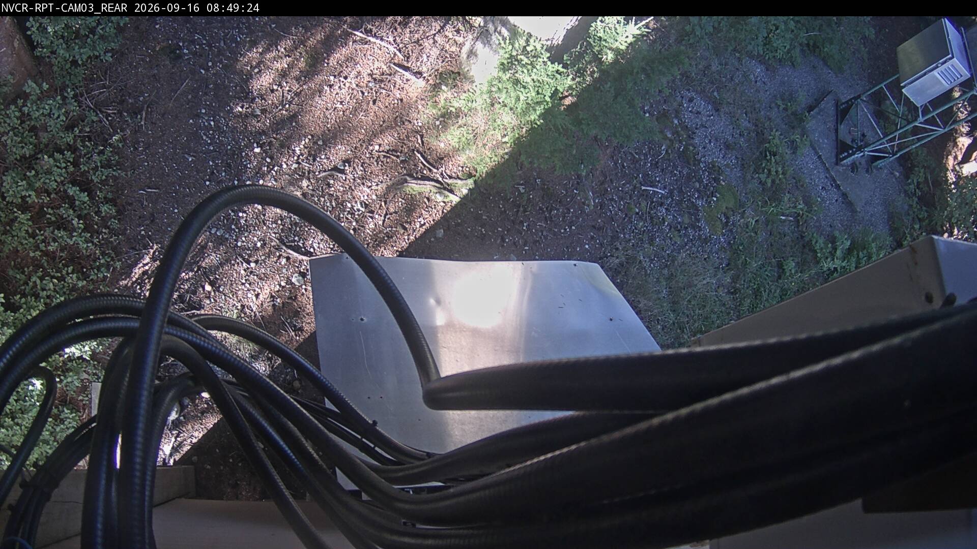 Web Cam History Image - 315
