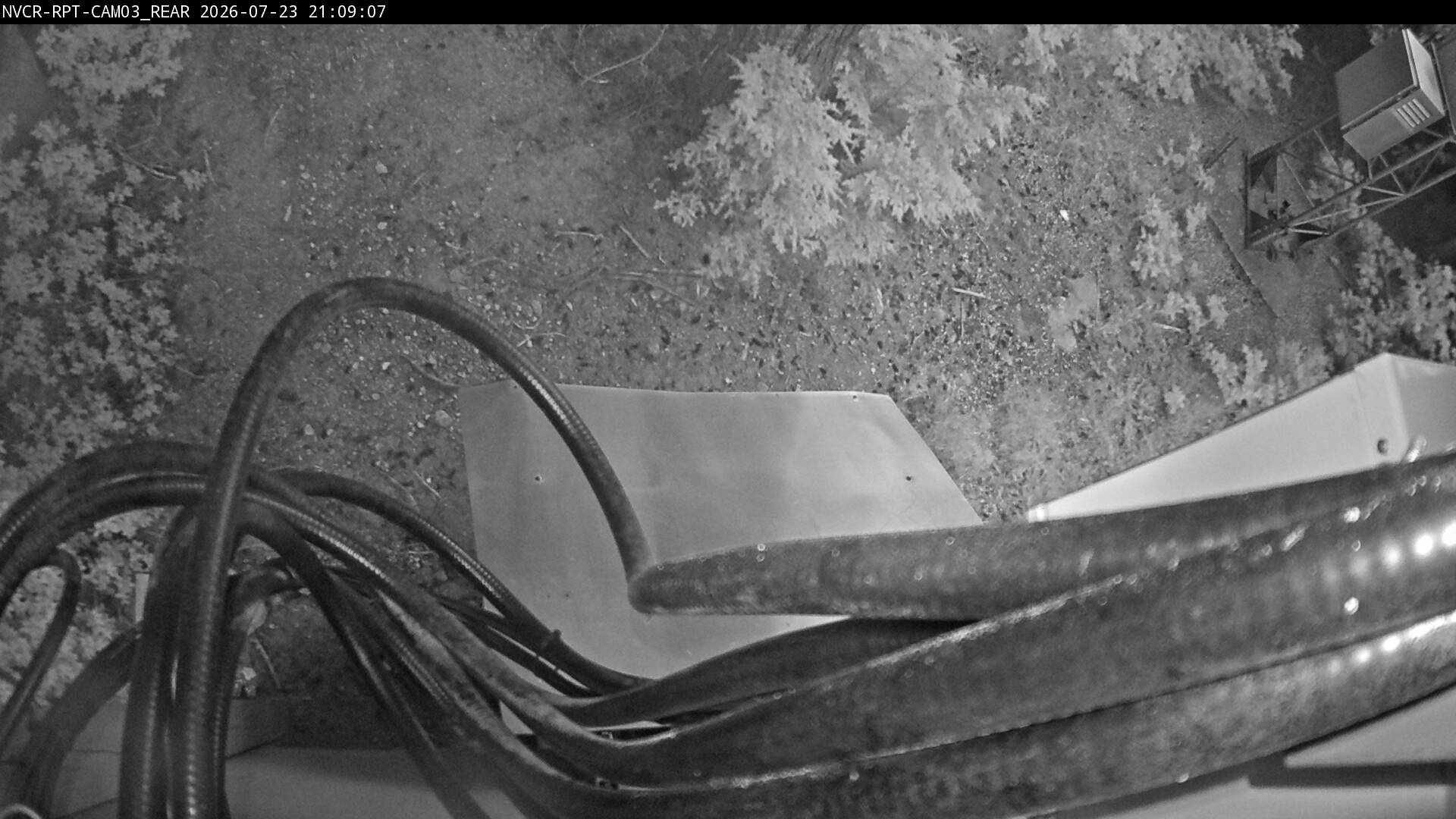 Web Cam History Image - 316