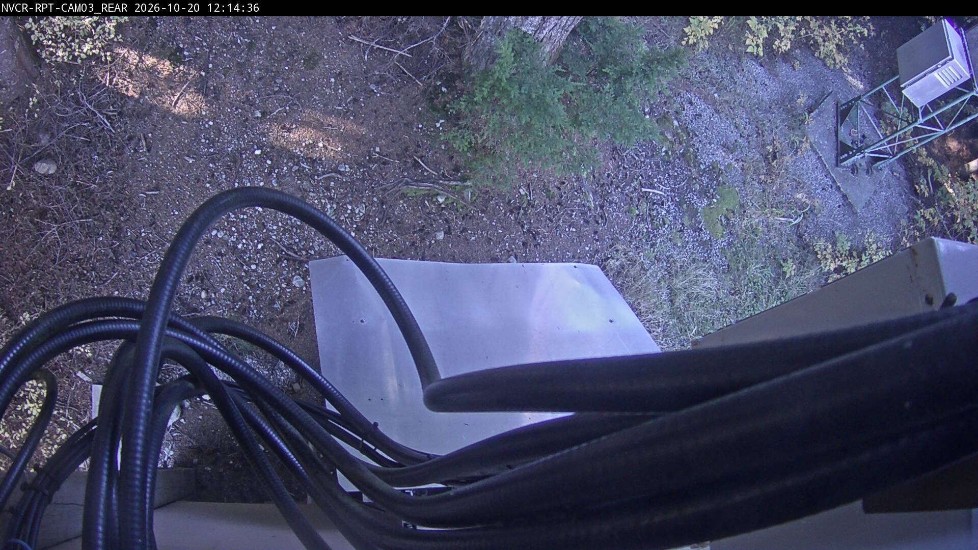Web Cam History Image - 316