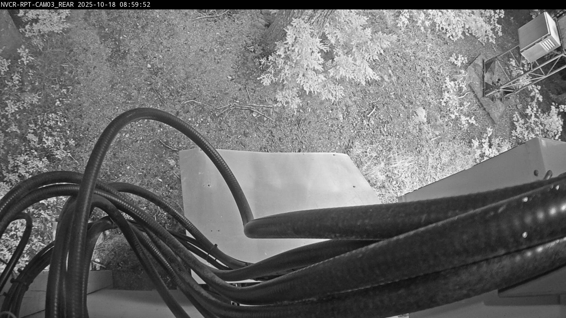Web Cam History Image - 317