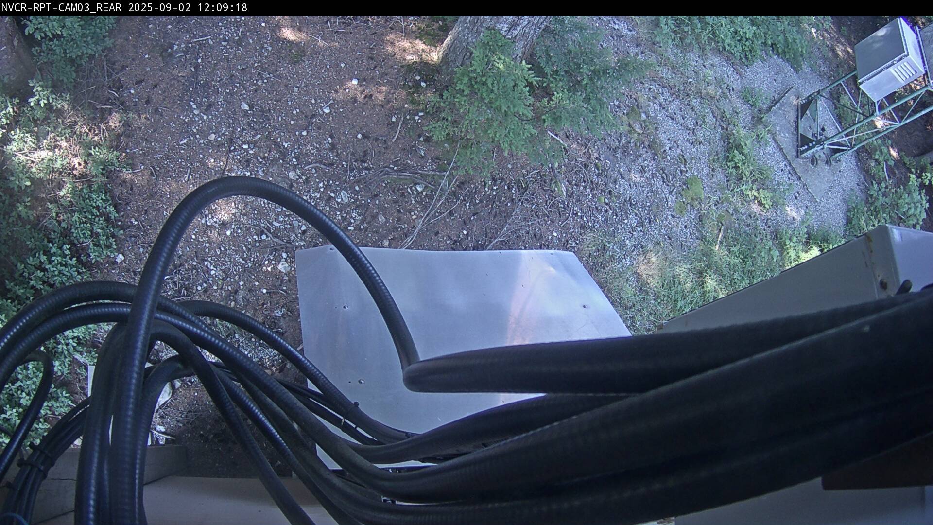 Web Cam History Image - 318