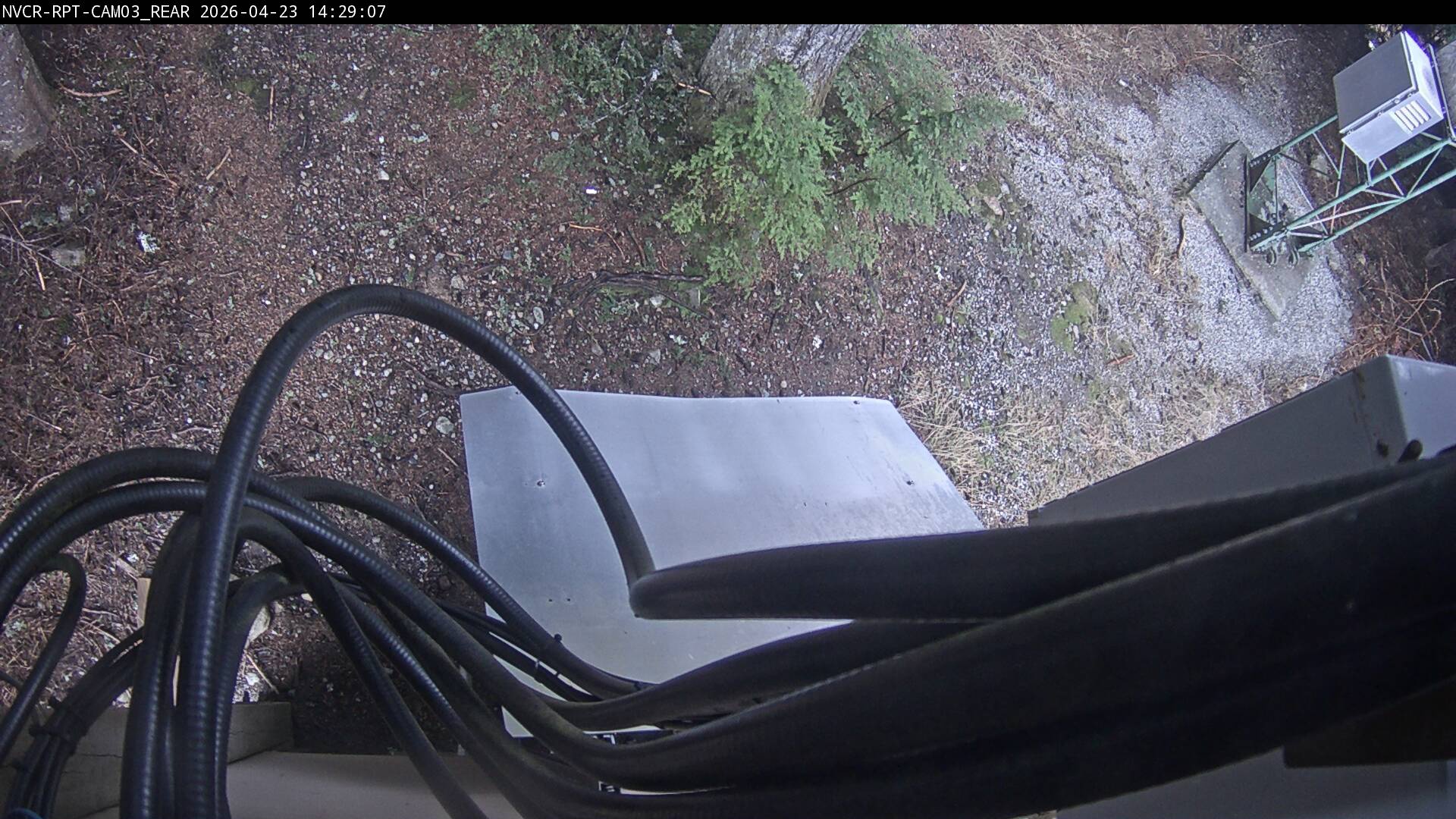 Web Cam History Image - 318