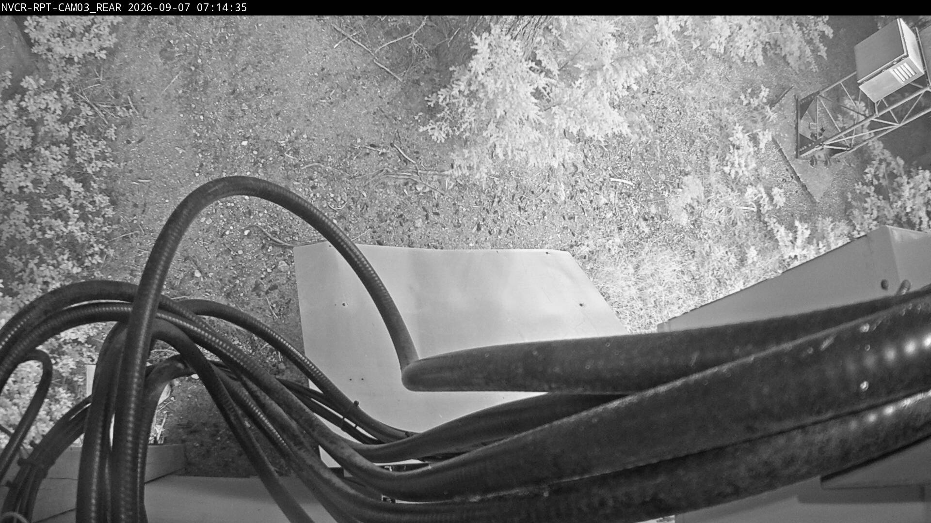 Web Cam History Image - 318