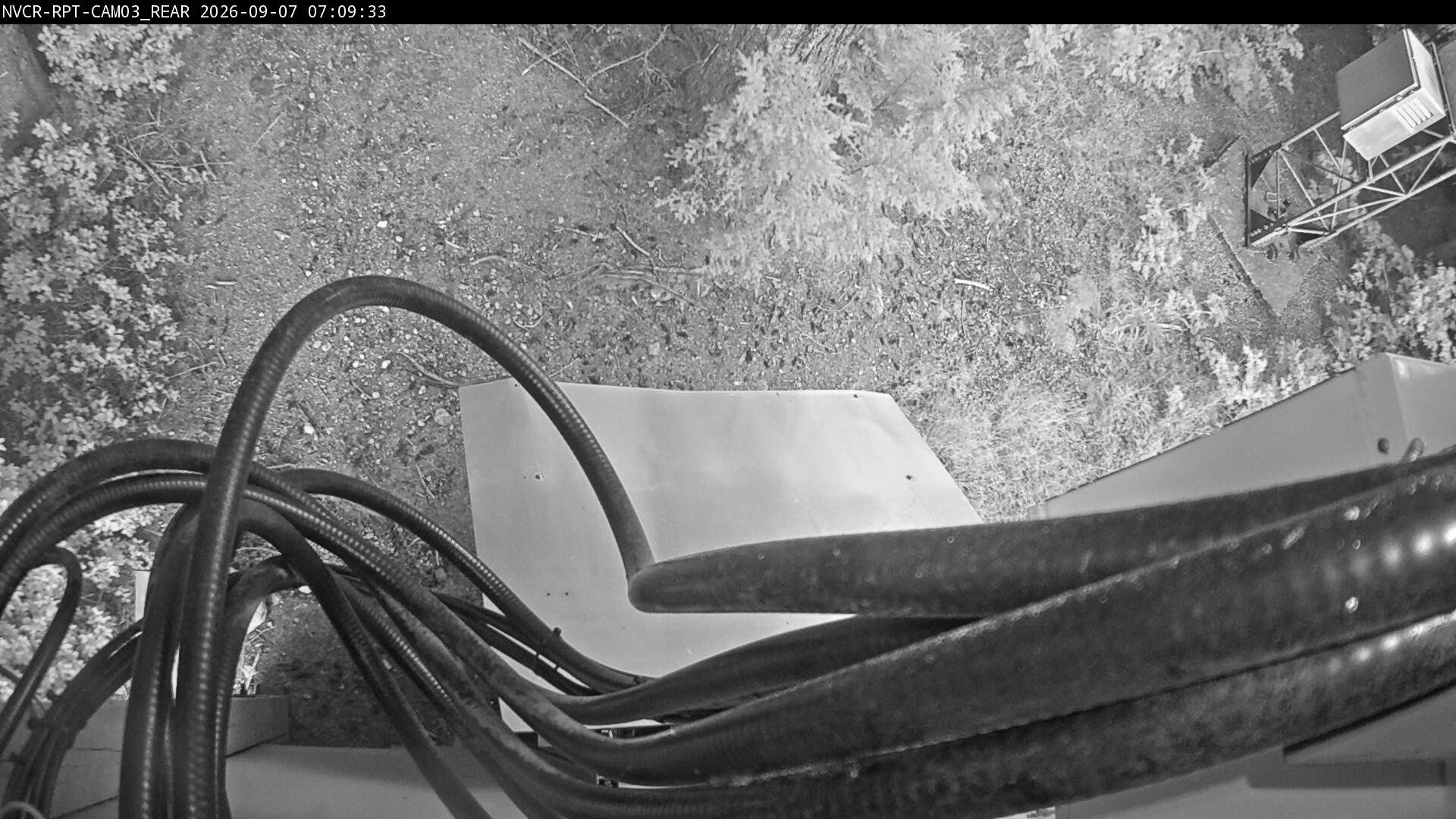 Web Cam History Image - 319
