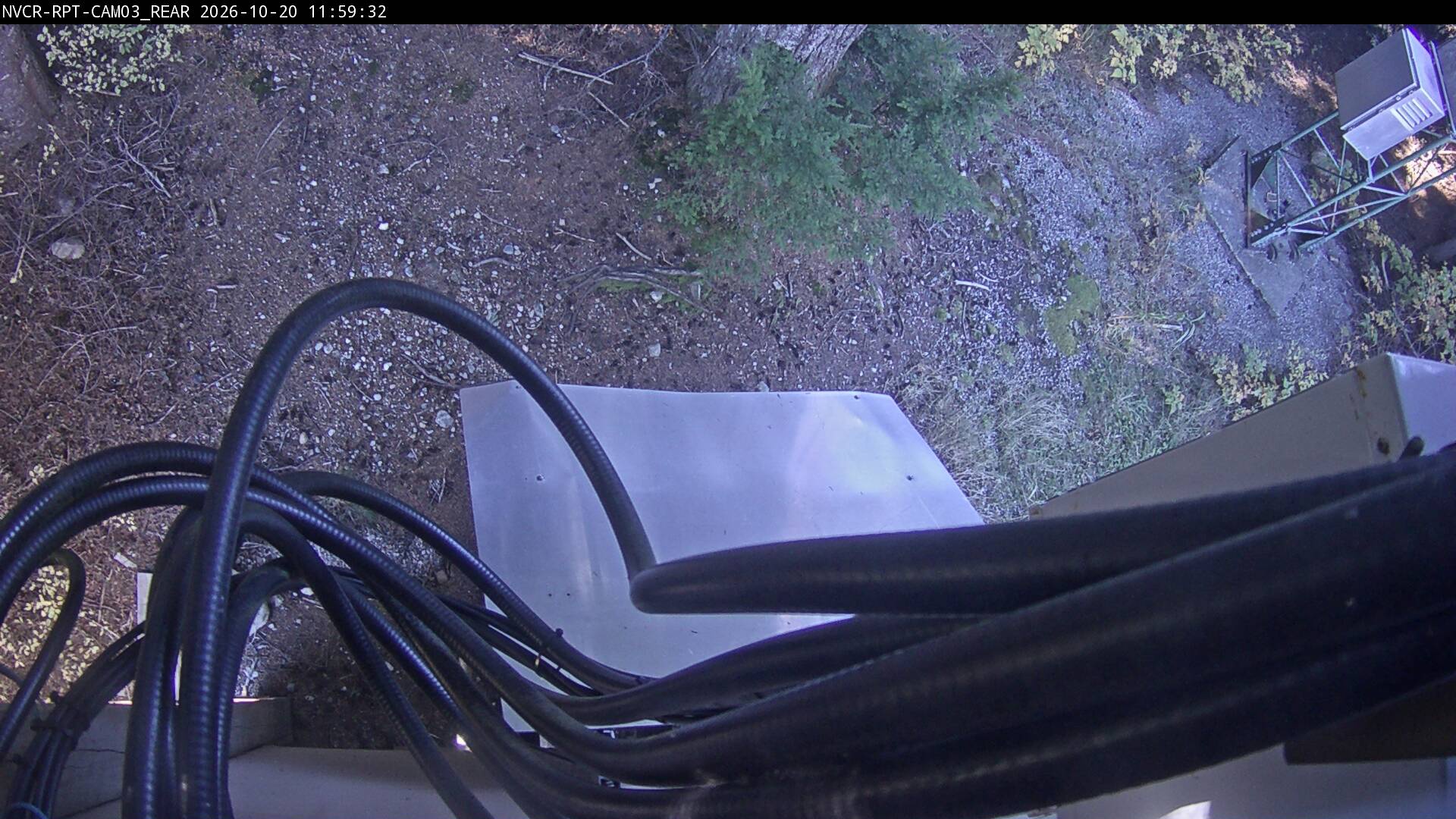 Web Cam History Image - 319