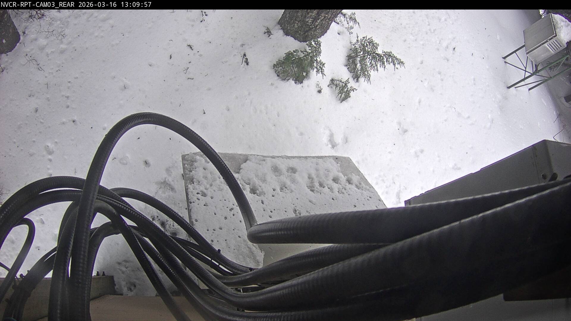 Web Cam History Image - 320