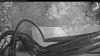 Web Cam Image - Thu, 05/14/2026 5:09am PDT