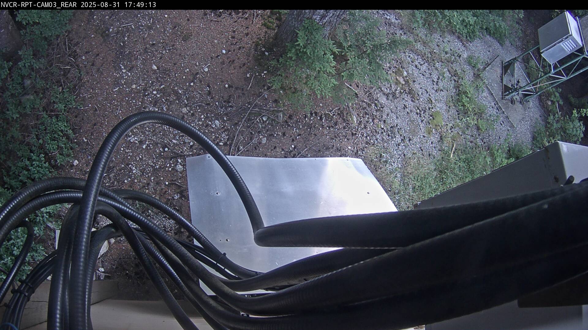 Web Cam History Image - 33