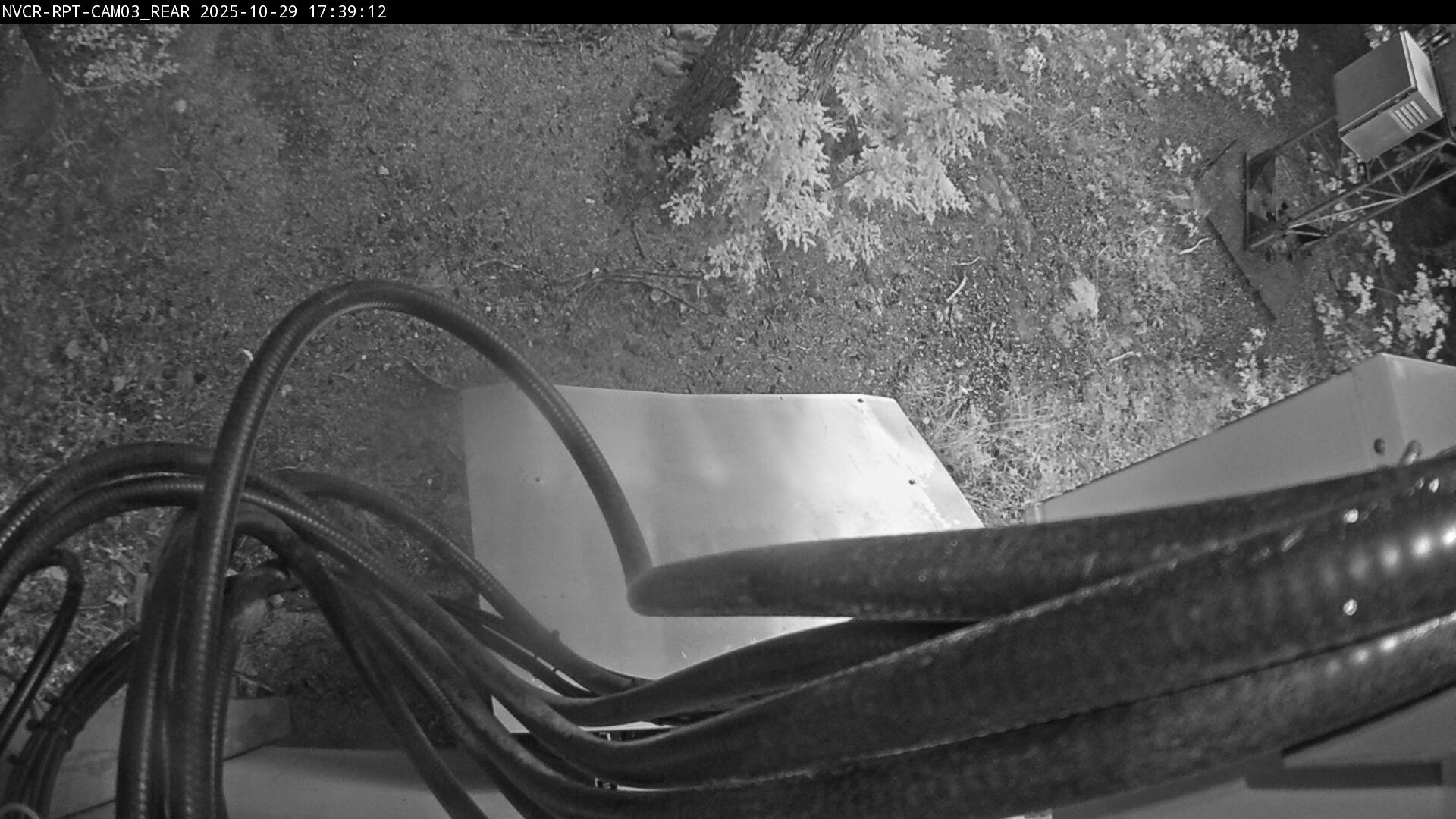 Web Cam History Image - 33