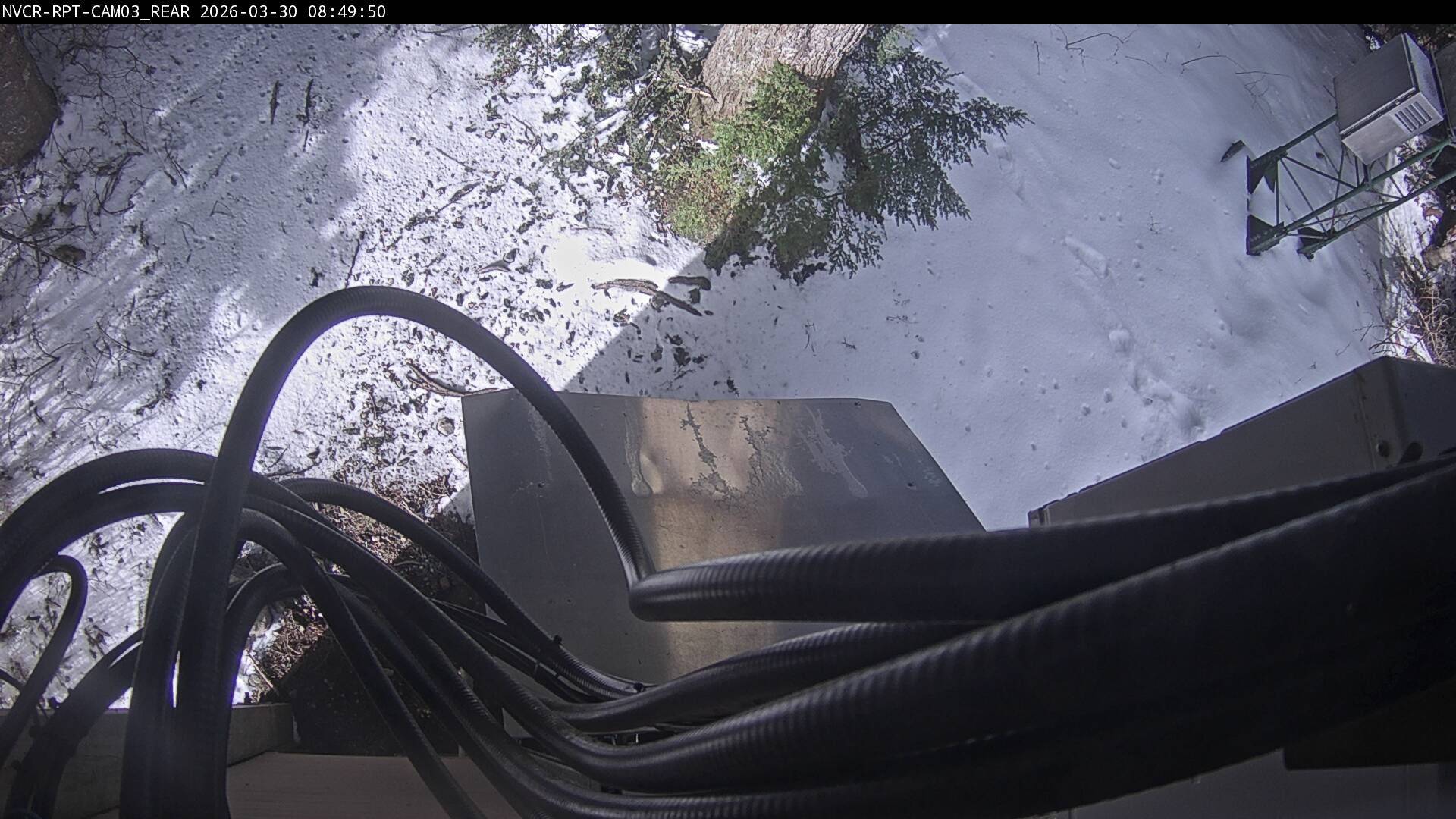 Web Cam History Image - 33