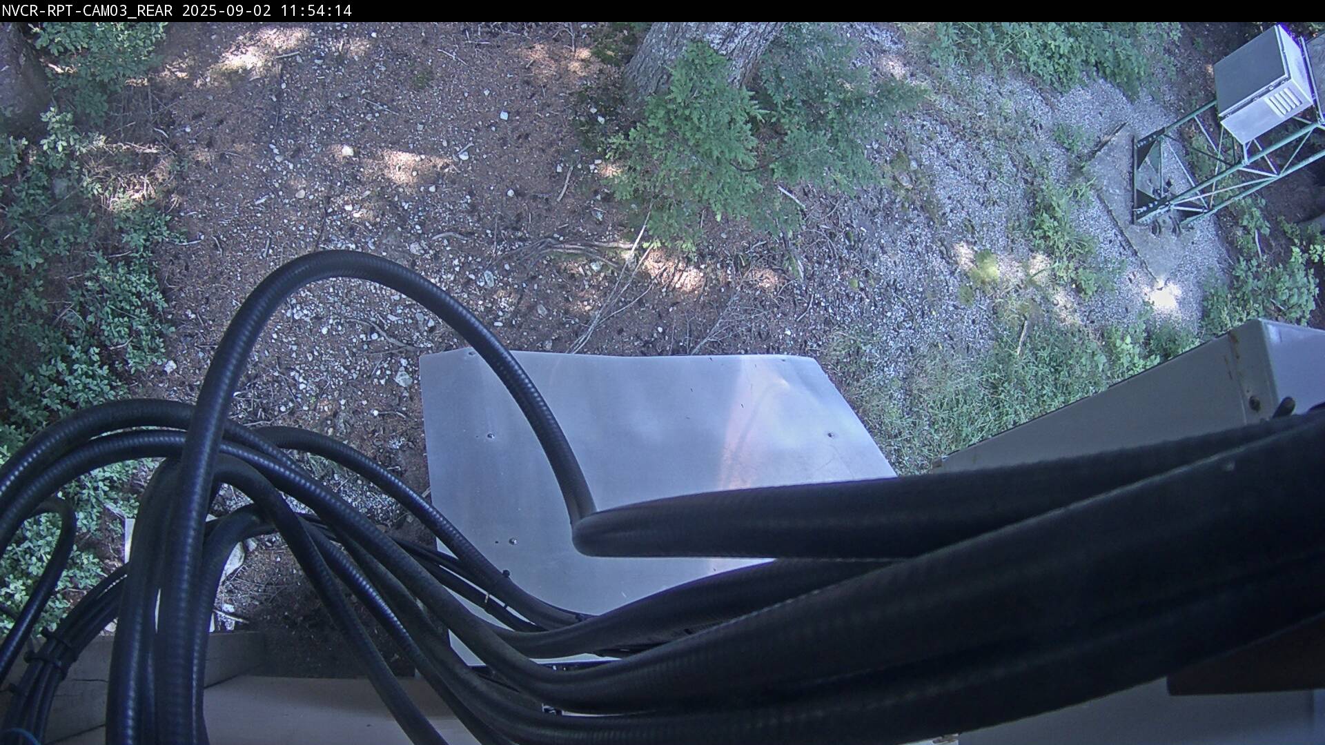 Web Cam History Image - 321