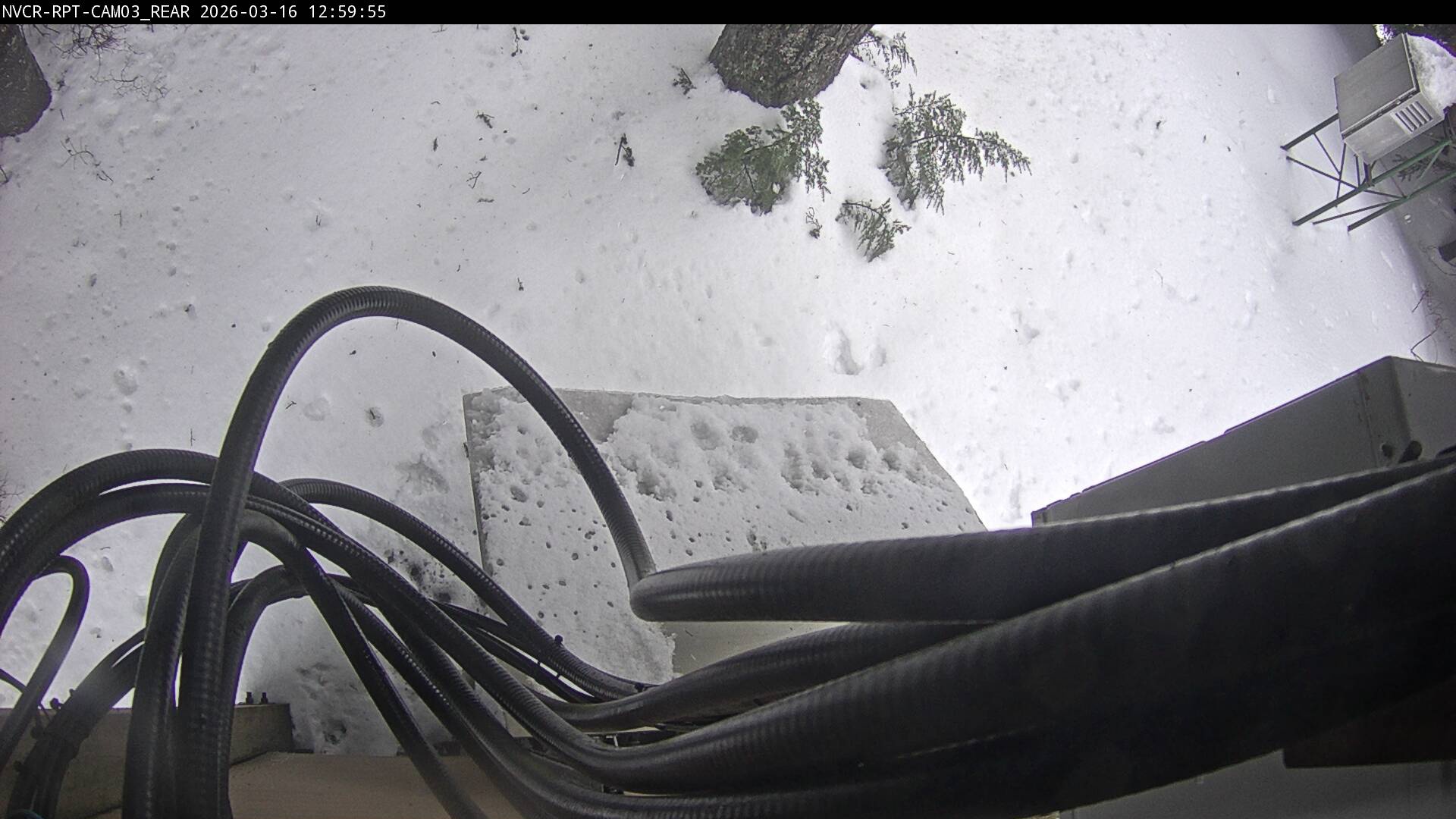 Web Cam History Image - 321