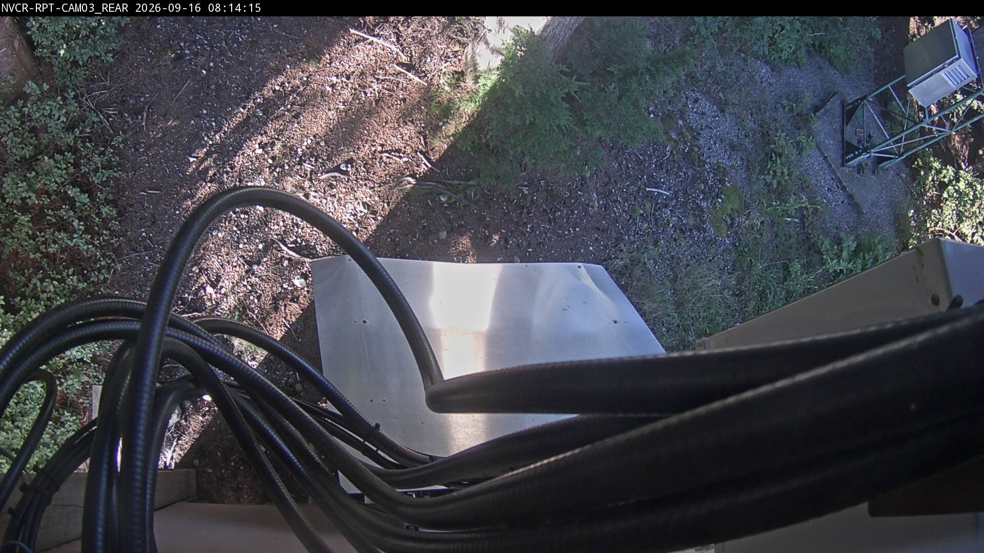 Web Cam History Image - 321