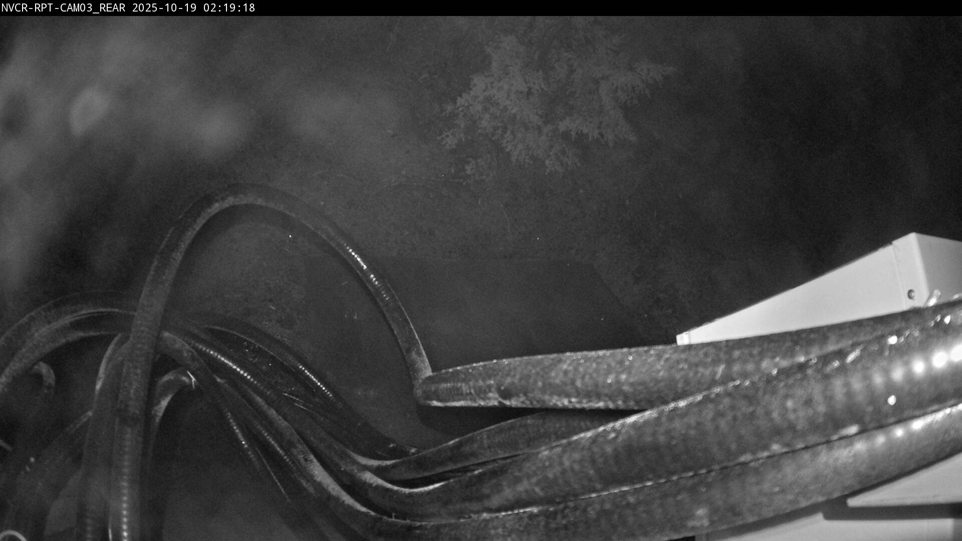 Web Cam History Image - 323