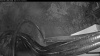 Web Cam Image - Sat, 10/10/2026 6:04pm PDT