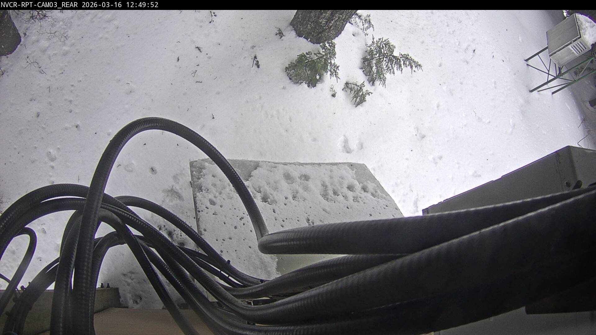 Web Cam History Image - 324