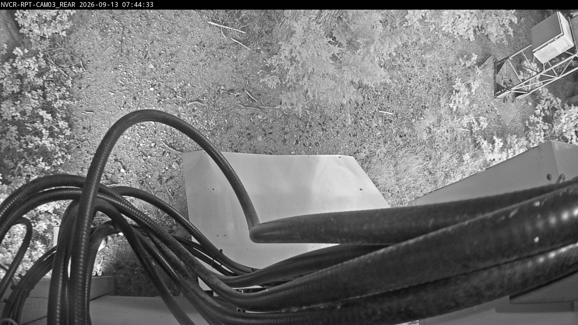 Web Cam History Image - 324