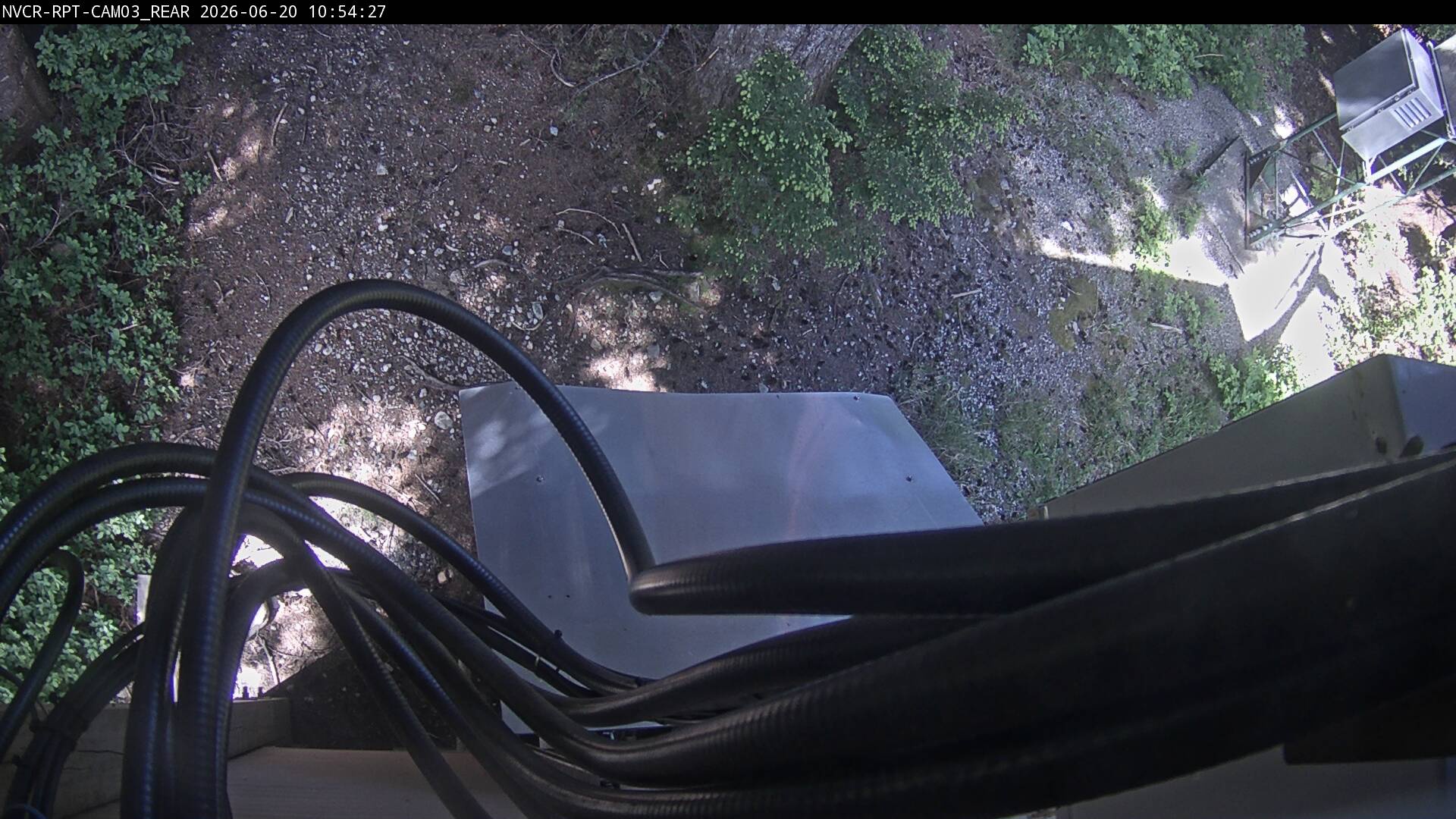 Web Cam History Image - 330
