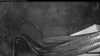 Web Cam Image - Fri, 05/29/2026 4:59am PDT