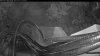 Web Cam Image - Fri, 07/31/2026 8:14pm PDT