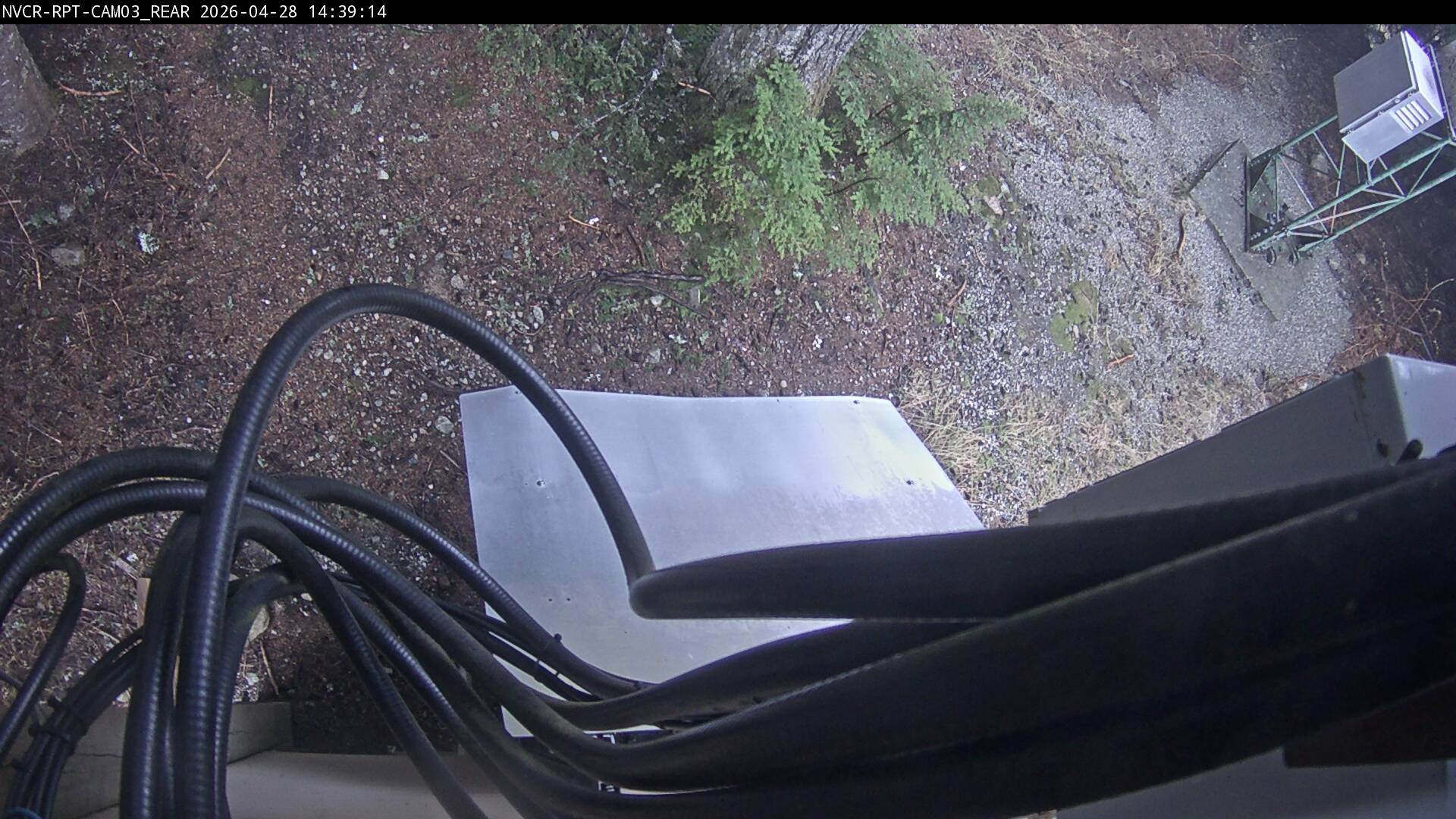 Web Cam History Image - 331